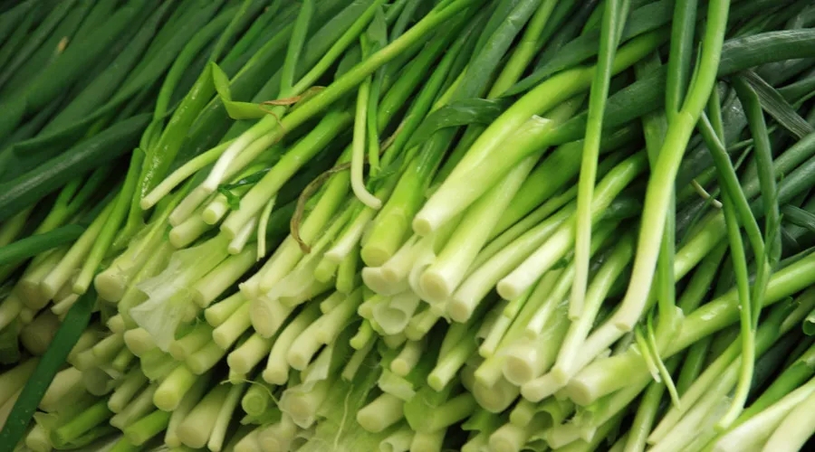 ��Ȧ��ô��²�?&ldquo;���؎��׸�&rdquo;��Ц�����طN�N��·