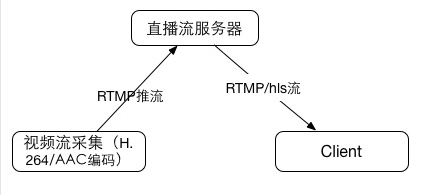 ֱ�����̈D