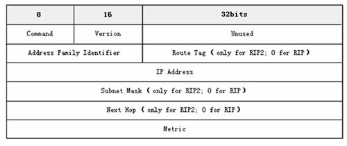  RIP�f(xi��)�h��Ϣ��ʽ-����(sh��)��(j��)