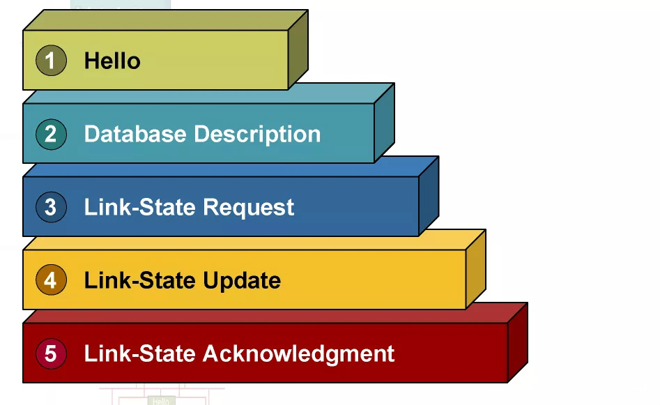 OSPF動(dòng)態(tài)路由協(xié)議基礎(chǔ)知識(shí)