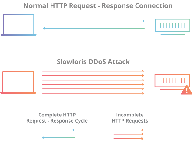 Slowloris ����D��